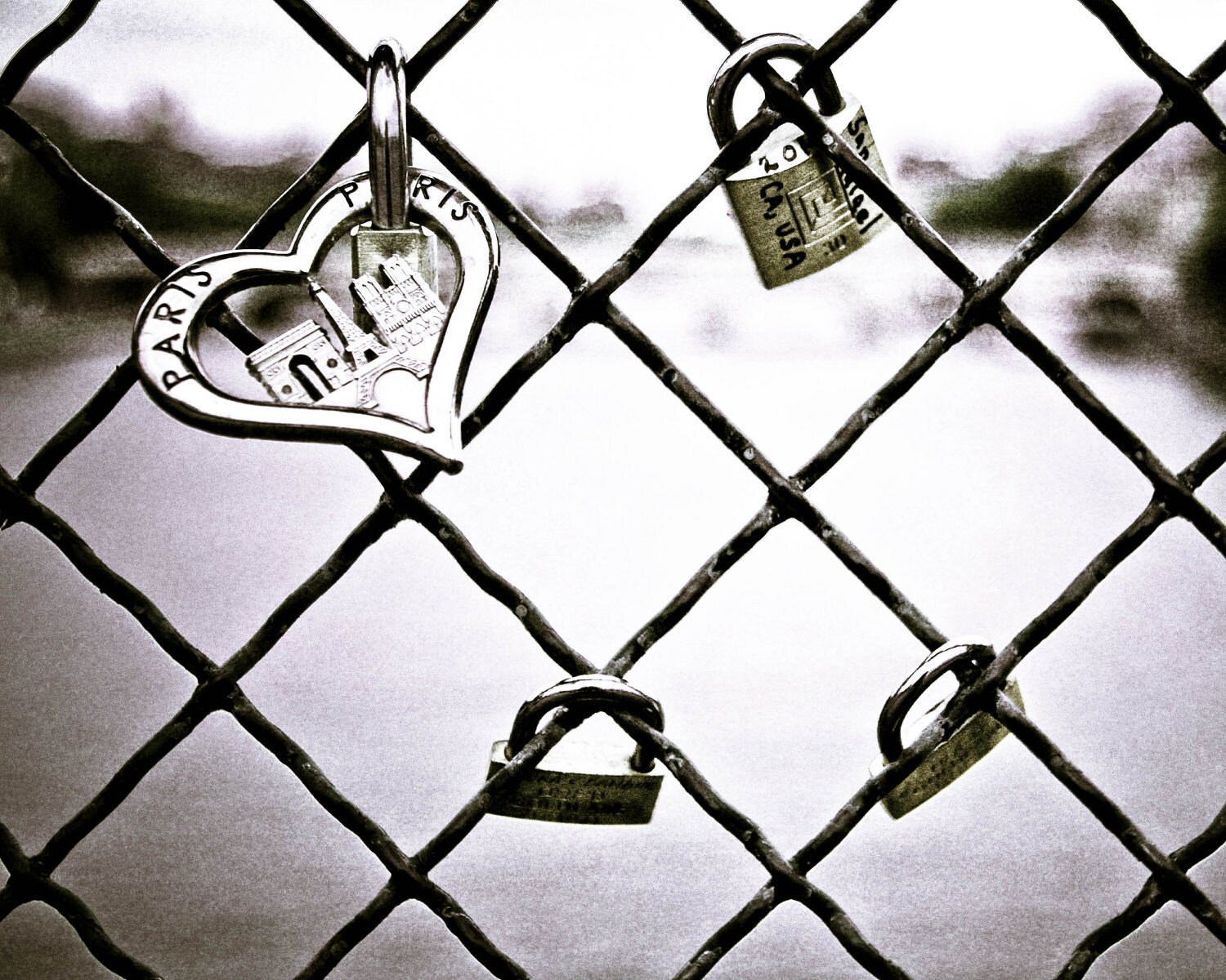 Paris Love Padlocks