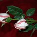 Sport Buds- baseball, softball, football, basketball and soccer