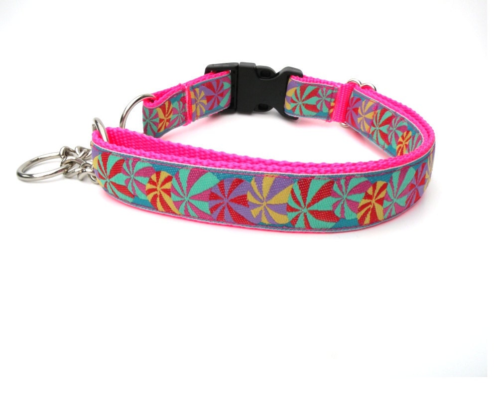Large Hot Pink Martingale Dog Collar