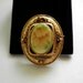 Pastel Floral Vintage Brooch Pin    Victorian style decorative frame