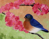 Eastern BlueBird 1 - 12 x 12" original oil painting - behindblueeyesart1
