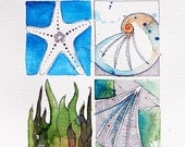 Four Seashells Beach Watercolour Art Drawing 8x10" Print (unframed)