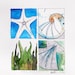 Four Seashells Beach Watercolour Art Drawing 8x10" Print (unframed)