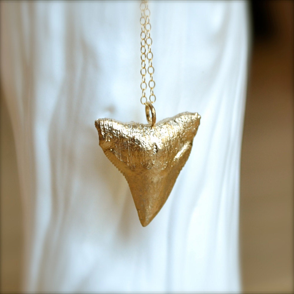 Long Shark Tooth Gold Necklace