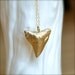 Long Shark Tooth Gold Necklace