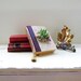 Eco Succulent Book Planter Pink Wine Succulent Centerpiece Book Lover Succulent Lover // Hooray Me