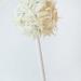 Rich homemade chocolate truffle pop coated in white chocolate and white chocolate curls - 6