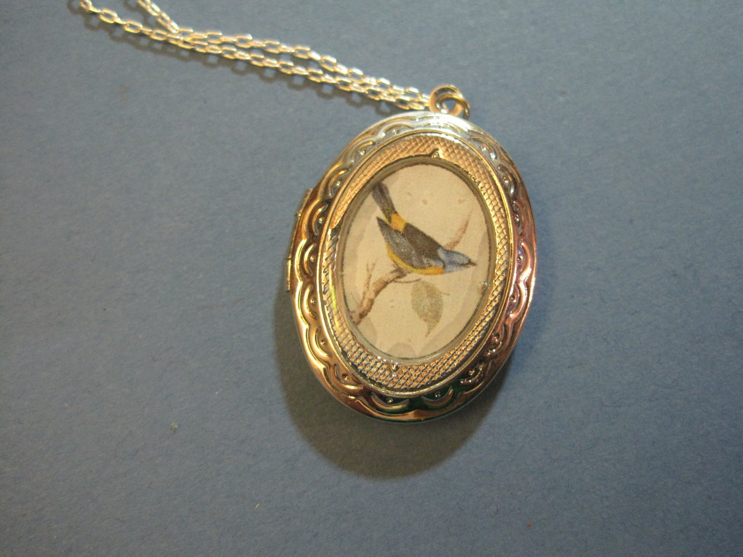Darwin's Finches Locket