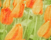 Signed Original Fine Art Print Of A Polaroid Image Transfer On Handmade Paper. A Garden, Bursting With New Tulips. red, green, flowers