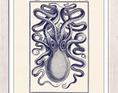 Bathroom Wall decor Vintage octopus n8- sea life print- Marine  sea life illustration A4 print