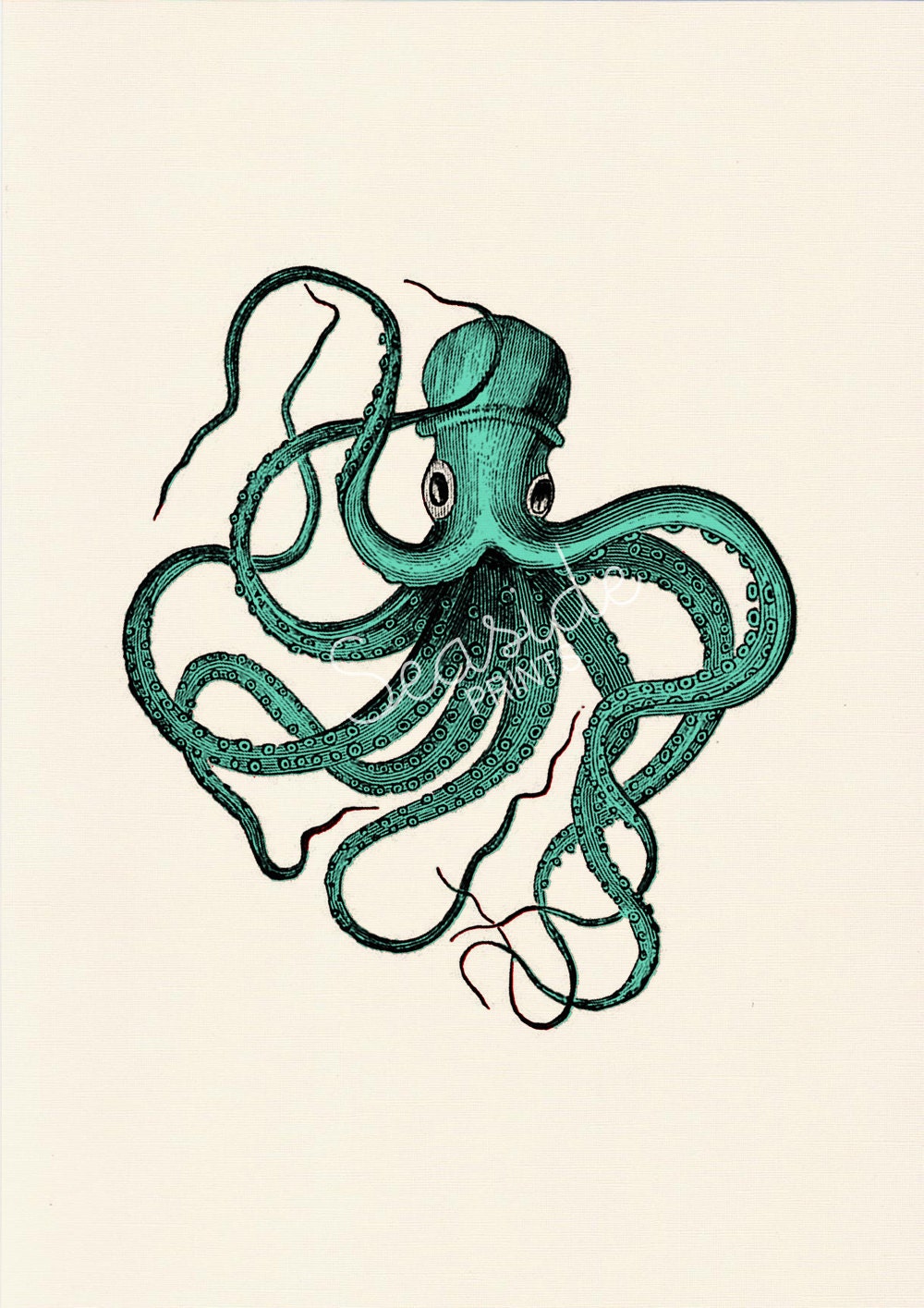 Octopus wall art Print Vintage octopus n2- sea foam color -sea life print