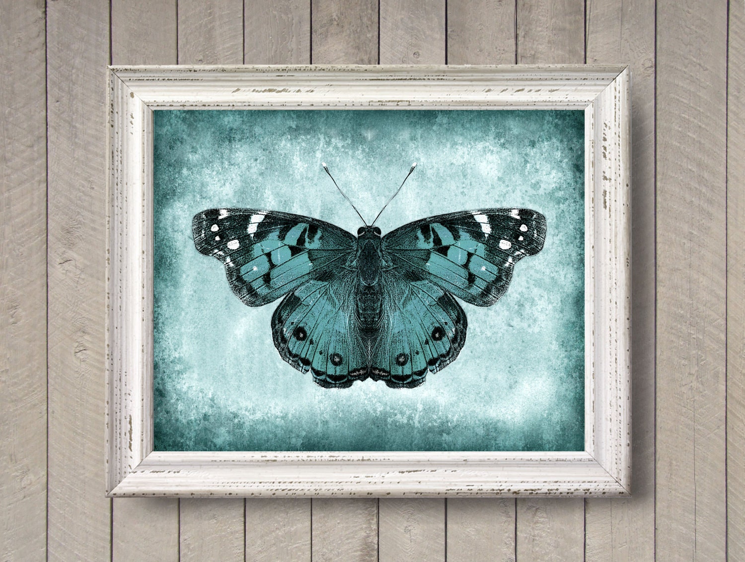 Butterfly in Teal 8x10 photo print Textured Nature by quotograph