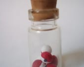 Pokemon Trainer Bottle