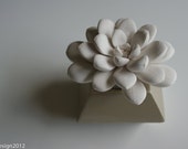 White Succulent Sculpture in Modern Faceted Geometric Container, Tabletop Centerpiece, Home Decor, Desktop Accessory - WaterstoneSucculents