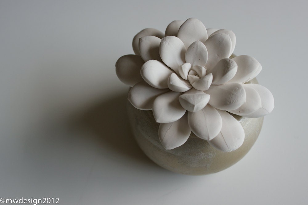 Modern White Succulent Sculpture in Round Champagne Container, Tabletop Centerpiece, Desktop Accessory, Home Decor
