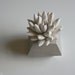 White Succulent Sculpture, Modern Nickel Faceted Geometric Container, Desktop, Tabletop Centerpiece