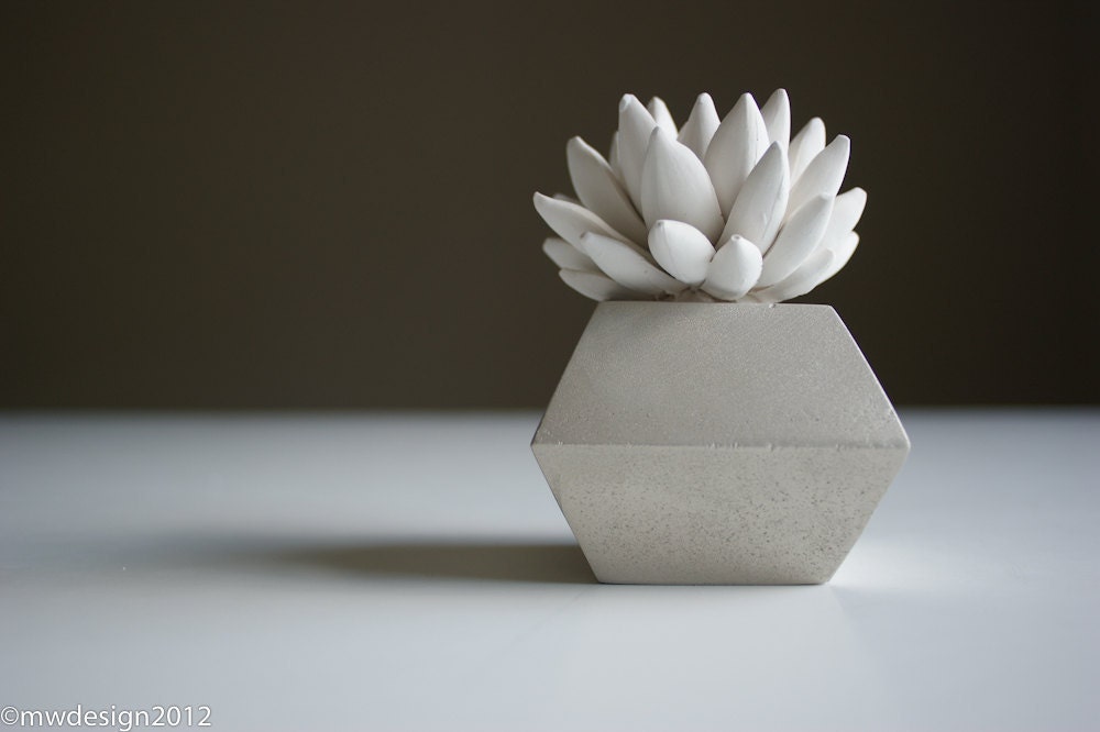 White Succulent Sculpture, Modern Nickel Faceted Geometric Container, Desktop, Tabletop Centerpiece