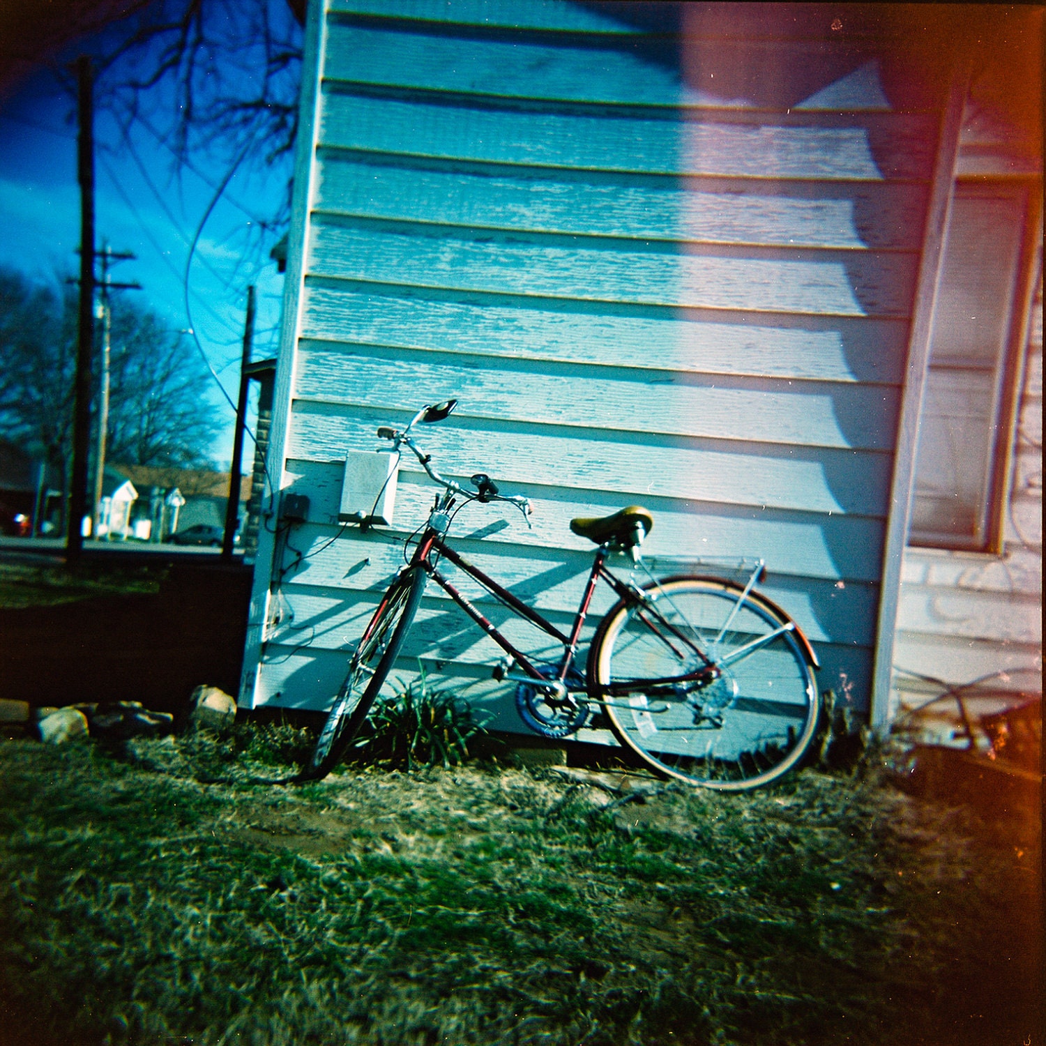 Blue Holga Camera