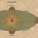 Astronomy Plate Art Print Earth Orbit Seasons Sun Moon