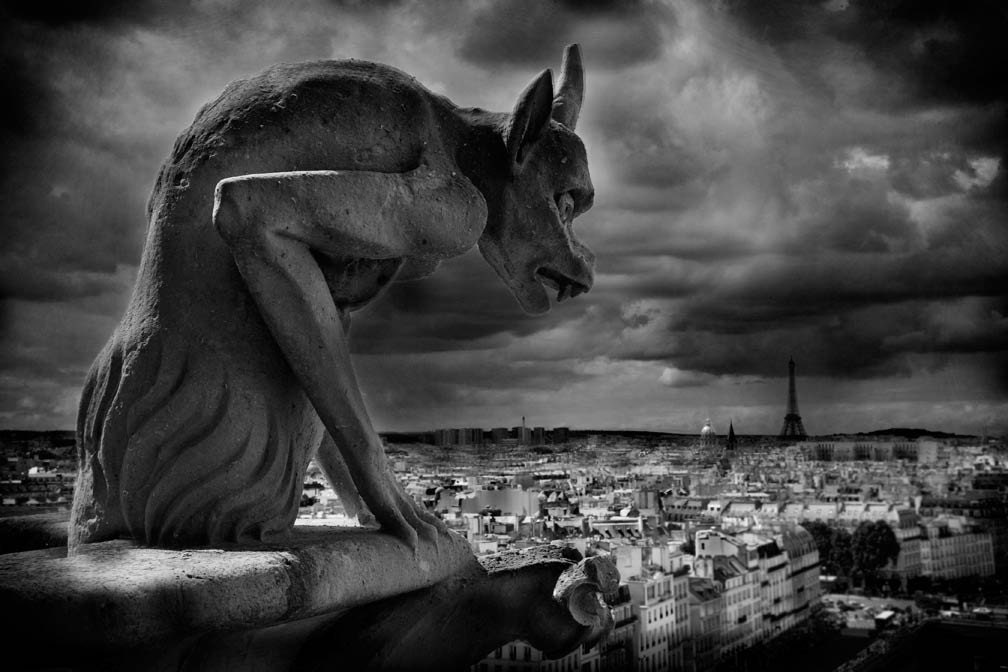 A stunning8X11 fine art print taken of a Gargoyle as it looks down upon the beautiful Paris France