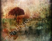 ORIGINAL abstract landscape photography PRINT 8x8 tree home decor art decor room decor painting drawing digital photo wall decor