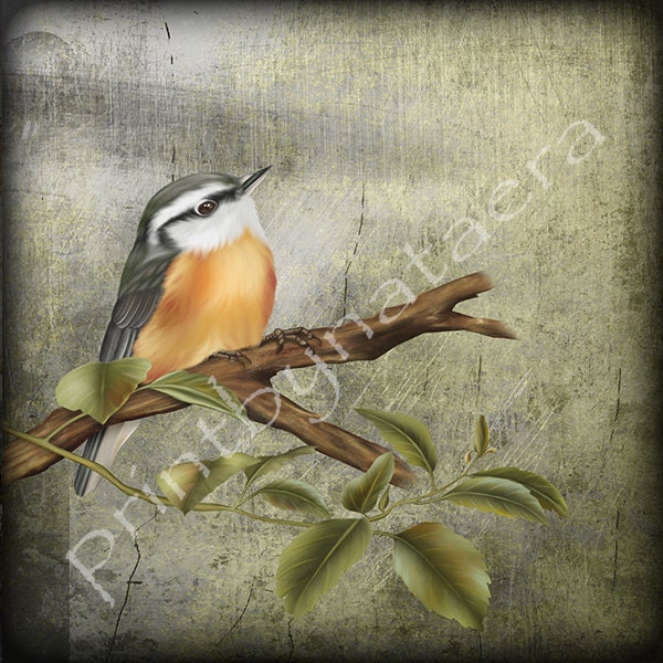 ORIGINAL abstract landscape PRINT 8" x 8" bird home decor wall art decor room decor digital photography nature photo painting