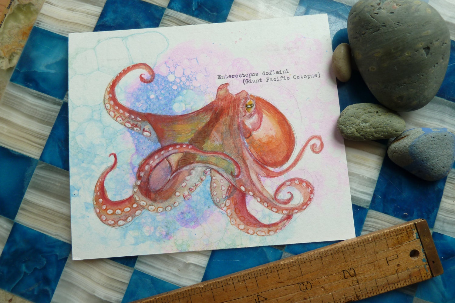 Giant Pacific Octopus Watercolor, 6.5 x 5.5" - original artwork by Heather Rigney