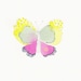 Butterfly 20