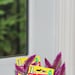 ORGANIC PLANT and AIRFRESHENERS (never let a plant stop smelling pleasant) objects for sale to 9/11 conspiracy theorists only