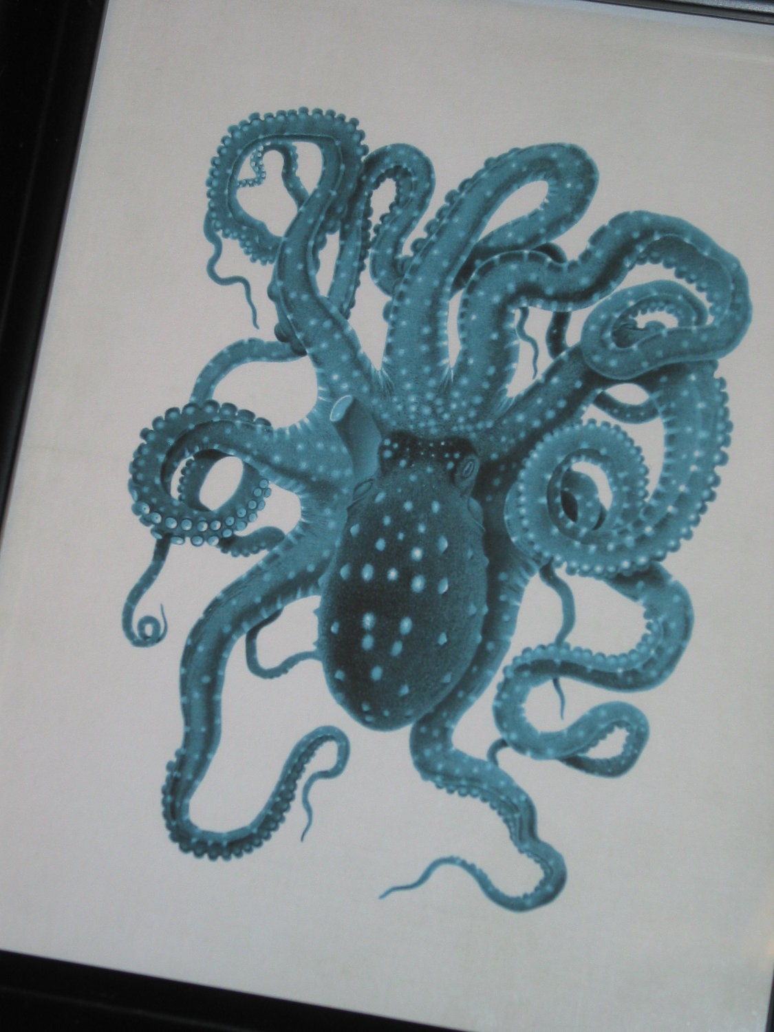Blue Octopus Art Print Beach Art Ocean Print Ocotpus Art Print 8 x 10 Natural History
