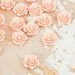 10 Light Peach Rose Cabochons