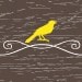 Meadowlark Creative