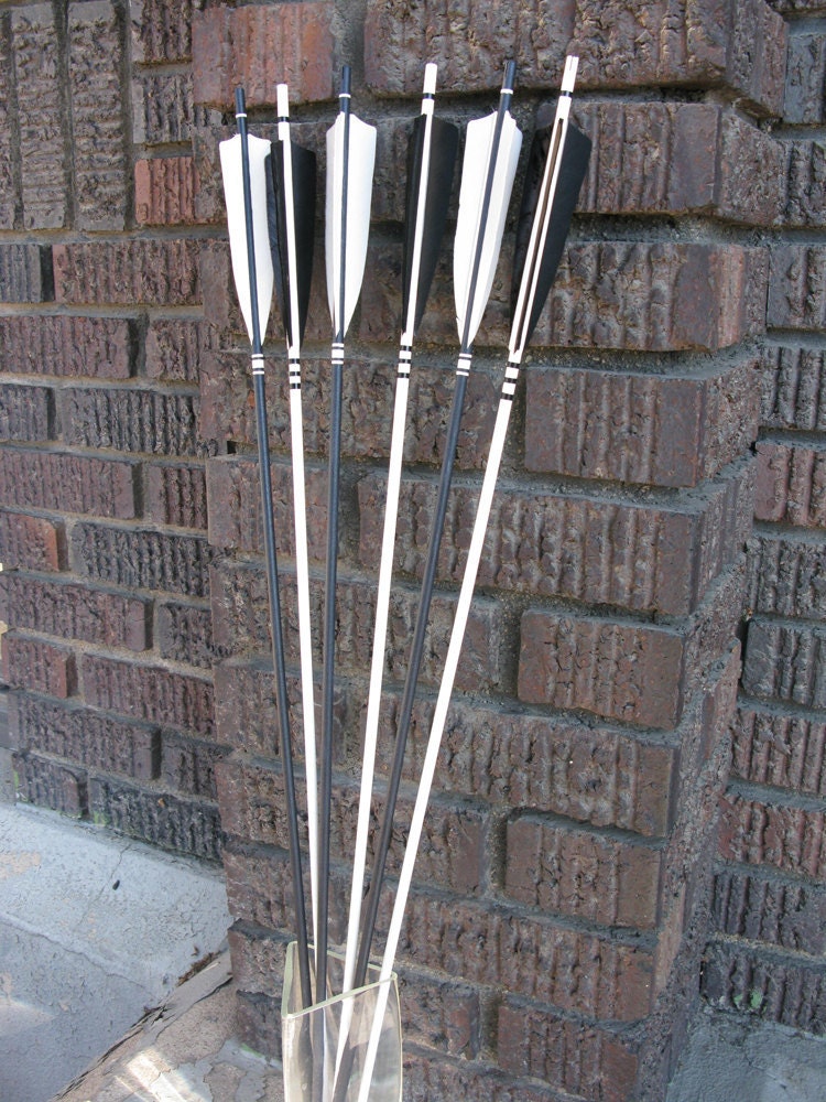 Archery Arrows Hunger Games Inspired Black and White Home Decor