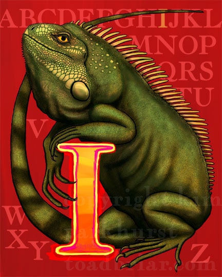I Iguana Alphabet Print 8x10 Signed