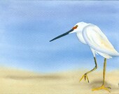watercolor  original bird EGRET on the beach