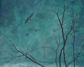 Awakening - Art Print turquoise morning forest dawn living room decor blue sky acrylic Canadian landscape painting Oladesign 8x10
