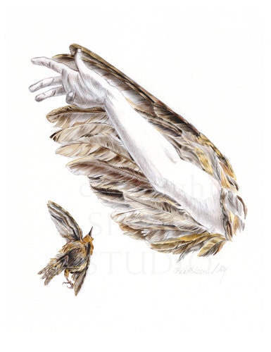 Icarus Lives, Art Print, figure drawing, feather, nature, woodland, birds, angels, wing