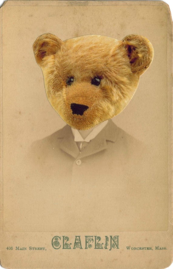 Victorian Teddy