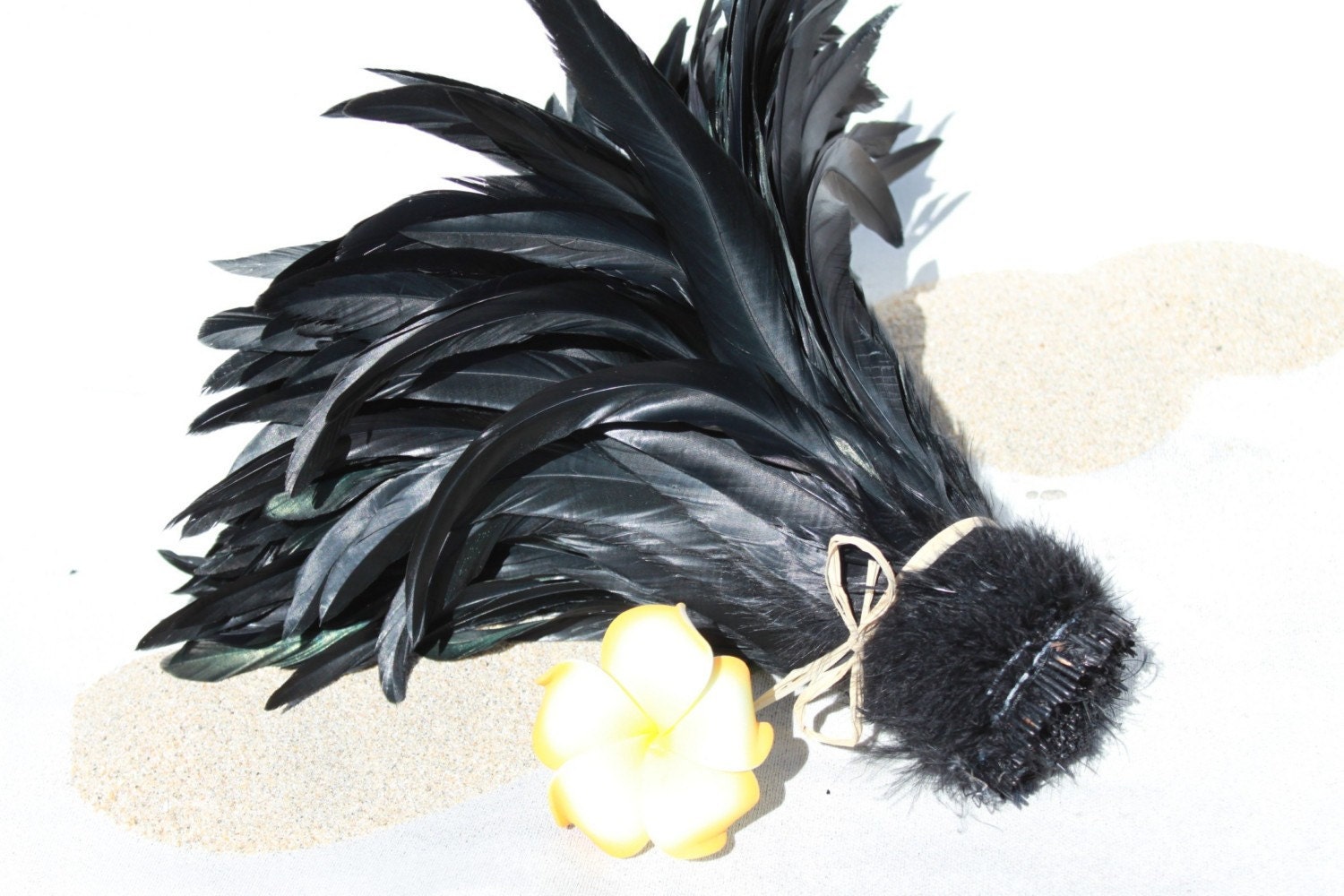 Jet black coque feathers 10-12 inch length- one foot
