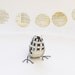 Art Sculpture Animal Paper Bird Crossword Puzzle Newspaper Bird Mothers Day