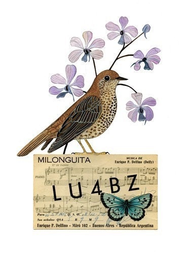 Bird No. 29