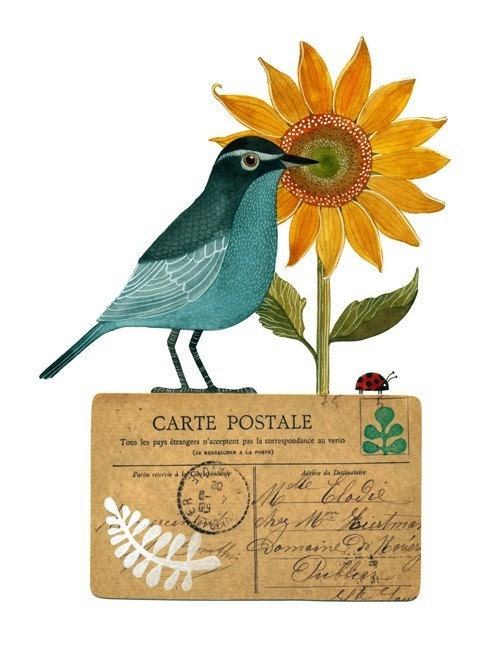 Bird No22