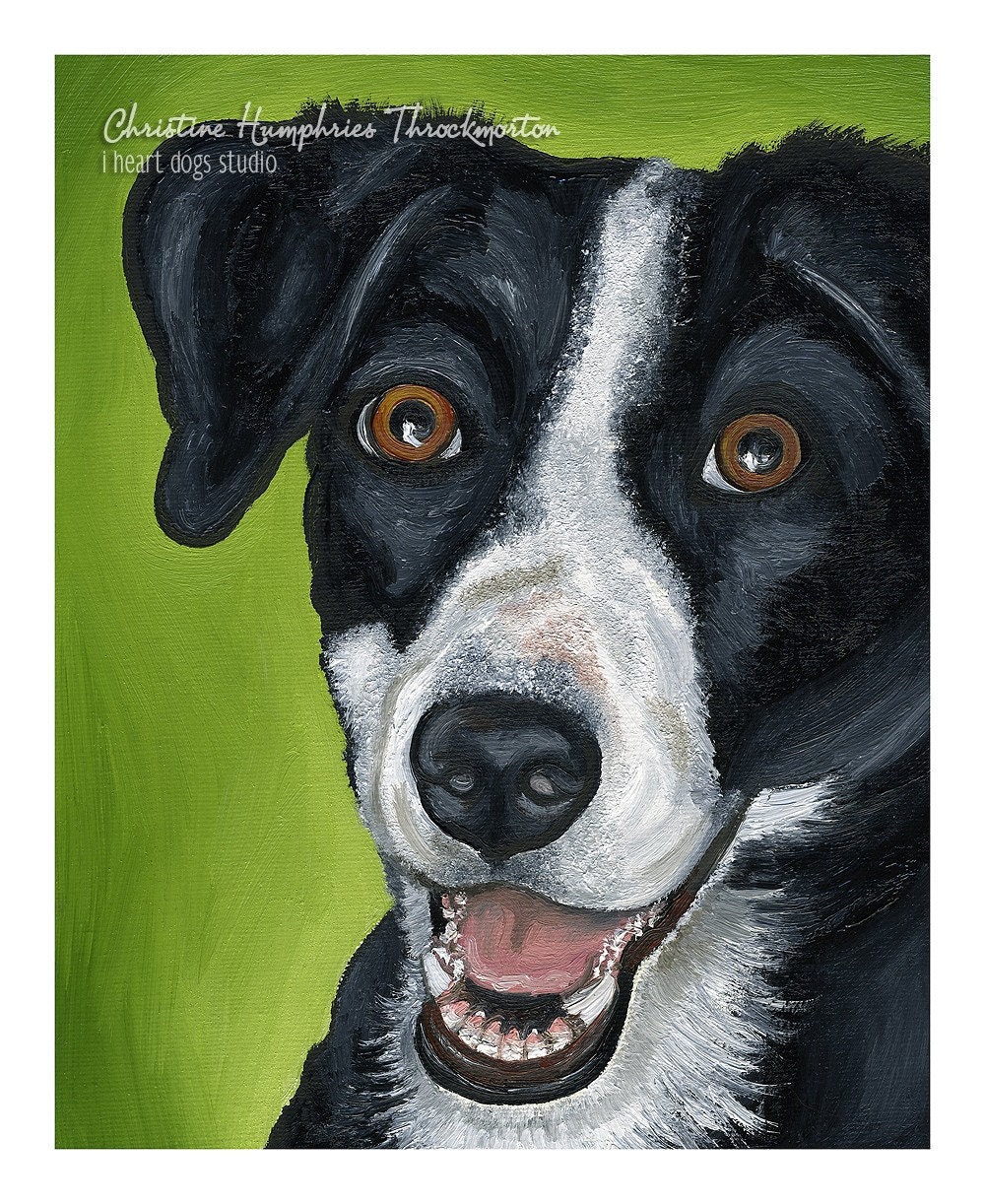 LOOKING for a GOOD HOME: Border Collie mix Original 8x10 painting-oil on canvas board