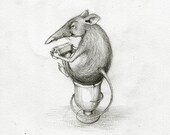 The Concertina Eggcup Song