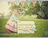 Pink, Aqua and Red Bunting Flags, Designer's Choice Valentine's Themed Photography Prop, 7 Large Flags, Fabric Bunting. Ready to Ship.