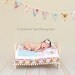 Surprise Shabby Chic Photography Prop, Bunting, Party Flag Banner, Wedding Decoration. 9 Medium Sized Flags. Ready To Ship,