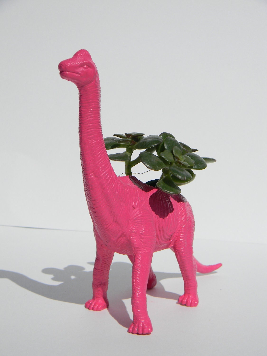 Geek Gift Dinosaur Planter Bubble Gum Pink with Home or Office Decor