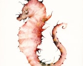 Seahorse in Corals Large Archival print