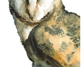 Barn Owl art- "Mice on My Mind" -large print after original watercolor