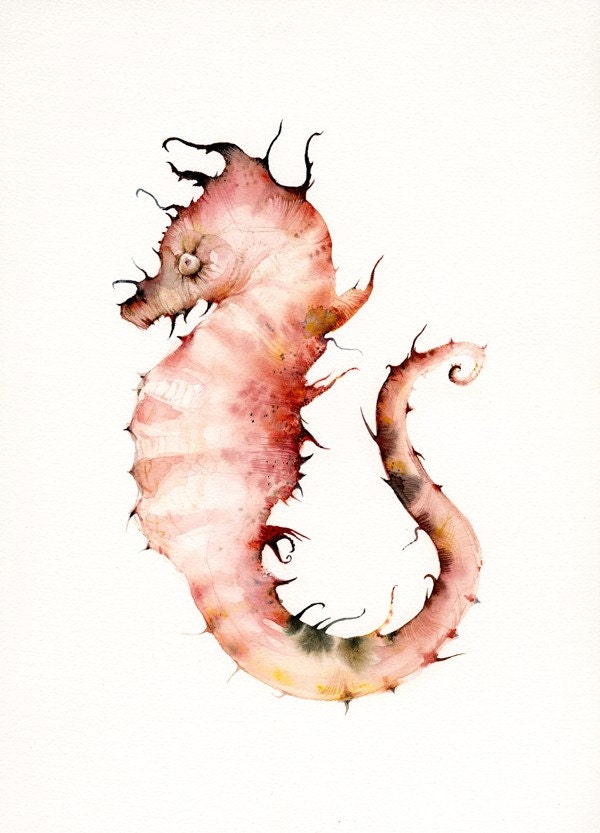 Coral Seahorse- seahorse print- nautical decor